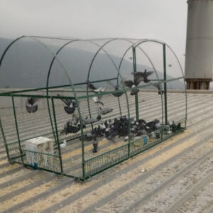 Control Palomas