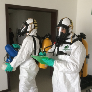sanitizacion